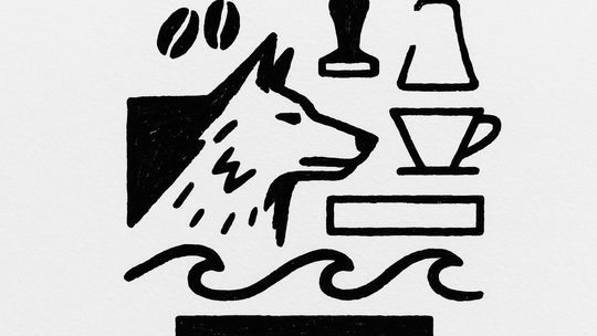 Décrypter le Profil Aromatique du Café