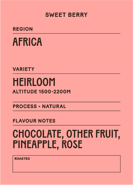 Ethiopia Sweet Berry